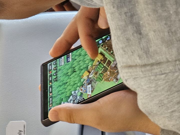 求问,这是啥游戏截图