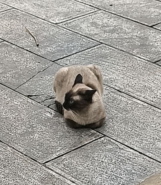 想问问大家下个新角色什么时候出啊 1
