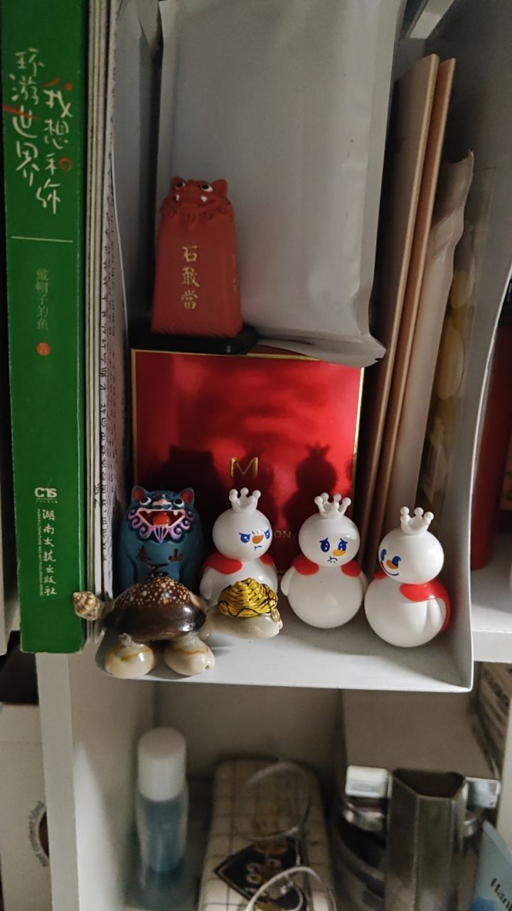 为了洁思截图