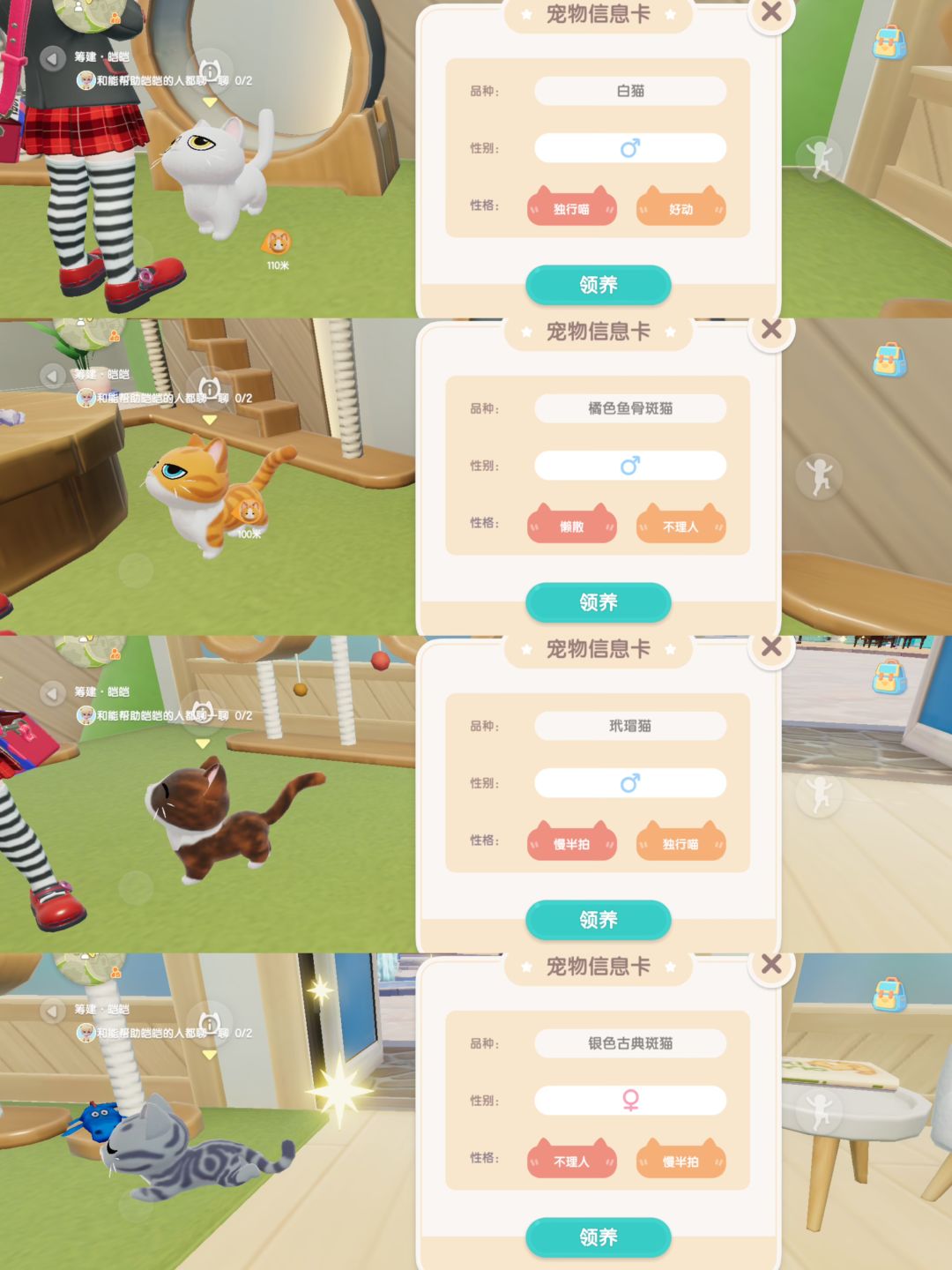 第二只猫怎么选 1