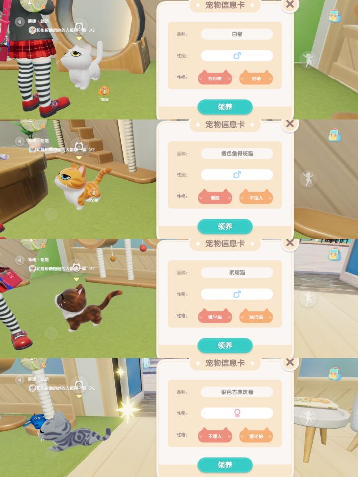 第二只猫怎么选截图