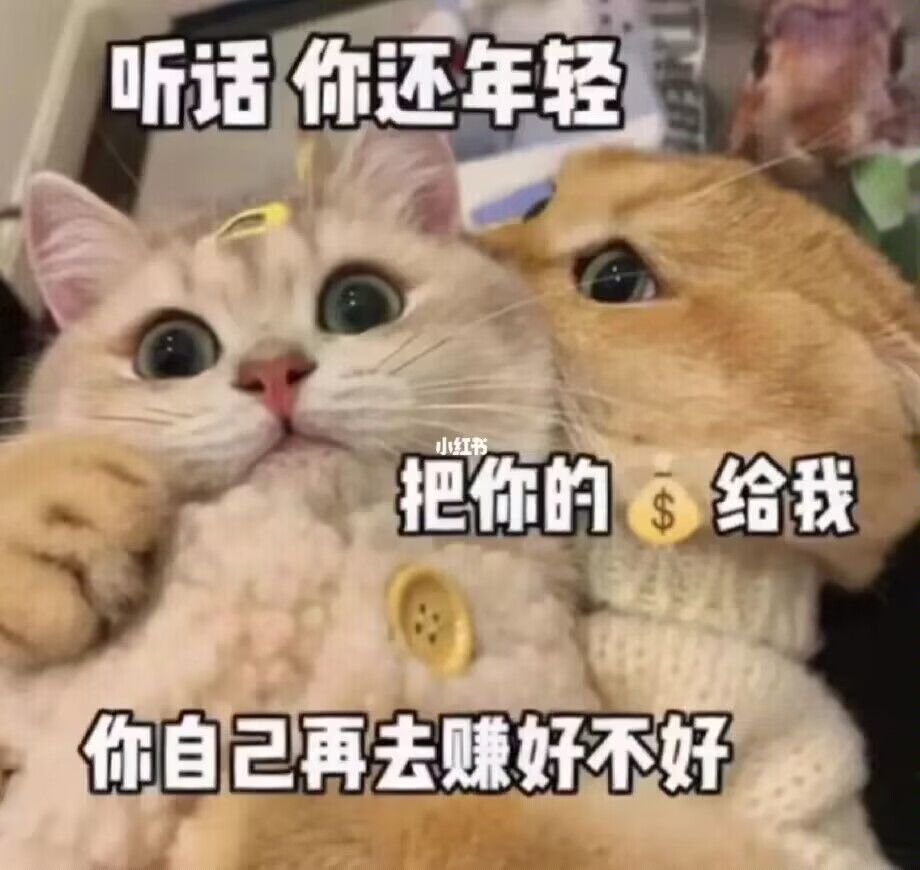 动态图片 6
