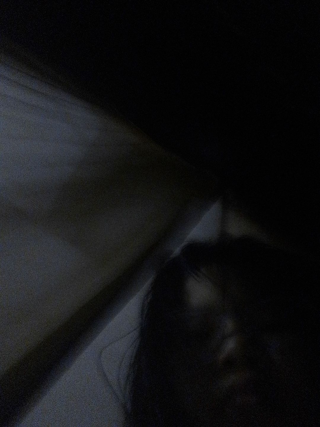 动态图片 16