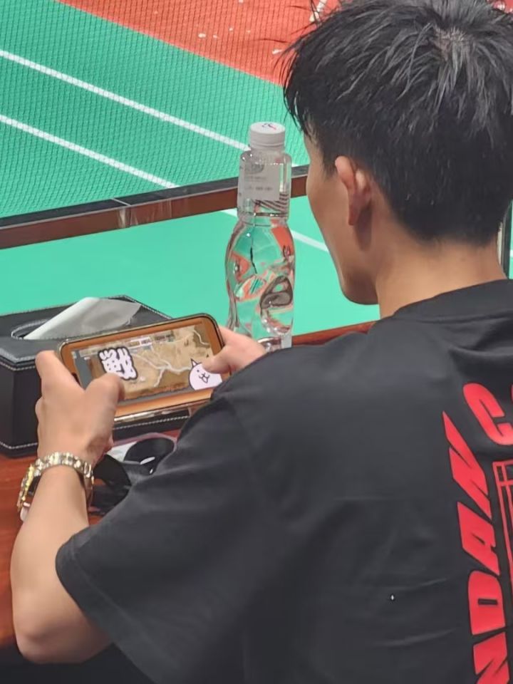 桃田在林丹杯上偷偷摸鱼玩这个游戏截图
