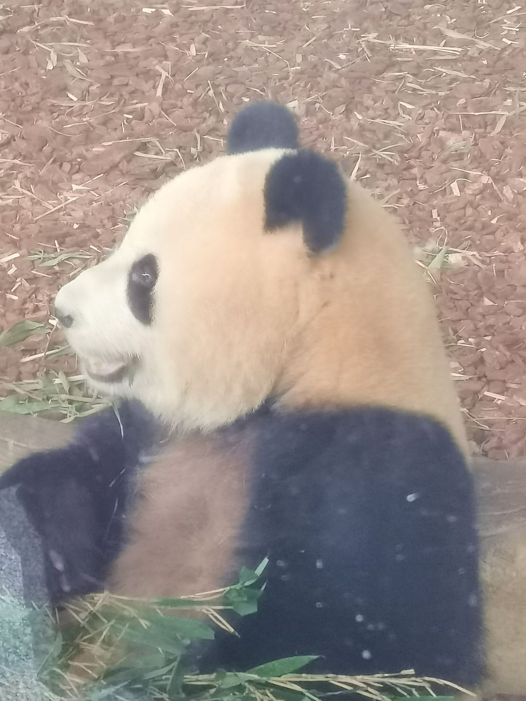 潮汐不倒,陪你到老 1
