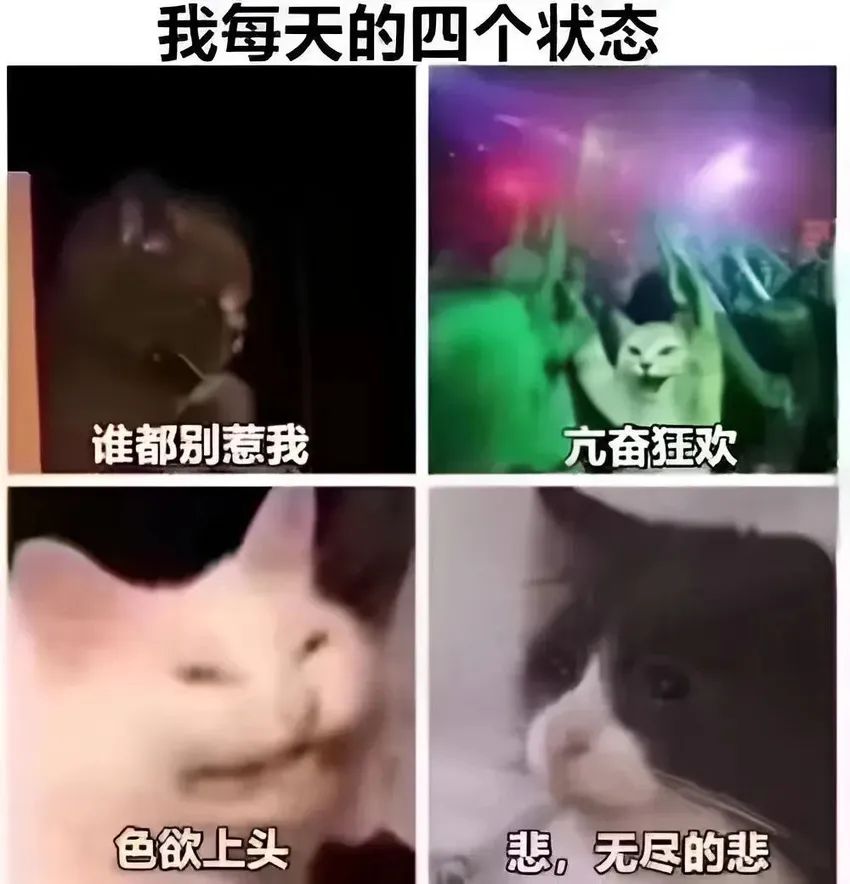 ✨今日份梗图分享第三十七期✨ 1