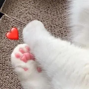 关于在论坛发布《阿姐鼓2明王咒》攻略帖的一些小事宜