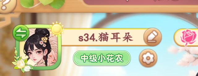 名字前面这个s34是什么意思啊#我的花园世界 #截图