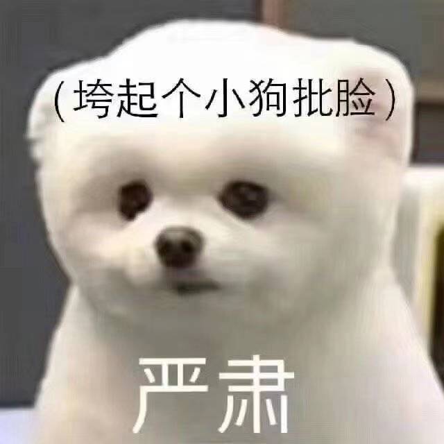 关于卡牌游戏截图