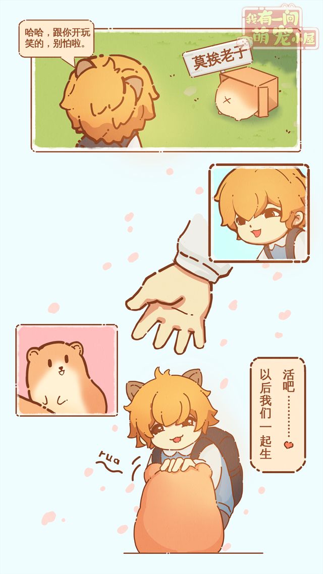 动态图片 3