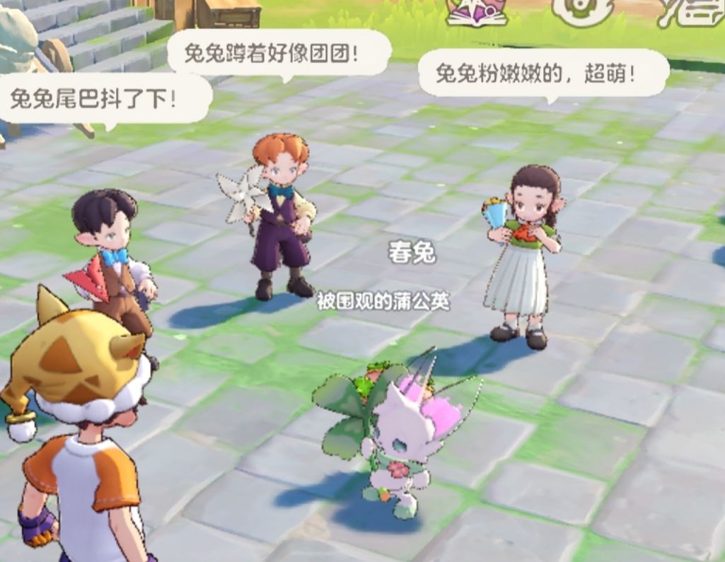 我的兔兔家族正在开会 2