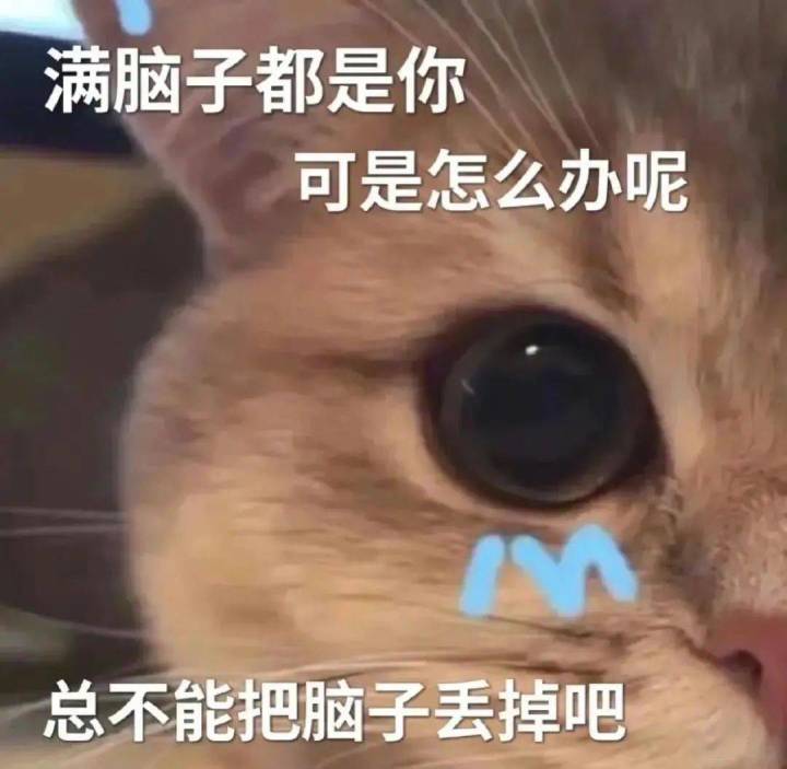 能一键调税率吗截图