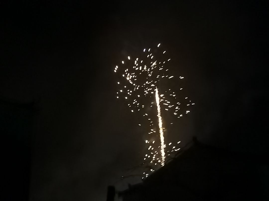 今天晚上看了烟花 6
