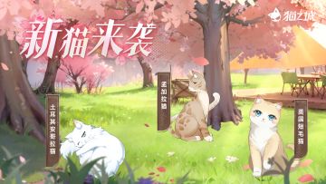 📸永不凋谢的樱花 | 版本情报第三弹