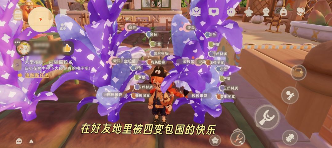 测试结束啦 3