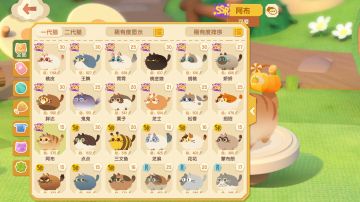 0氪党通关经验分享。