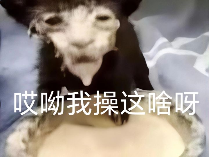 天南爱情故事截图