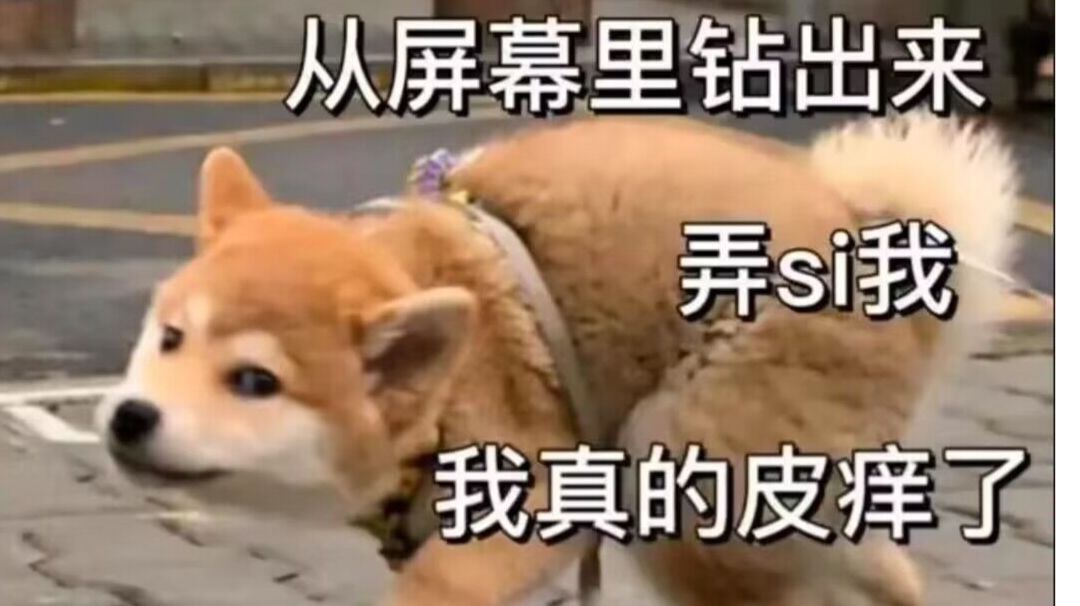 流派说明截图
