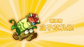 【前瞻】新植物-盒子草礼炮