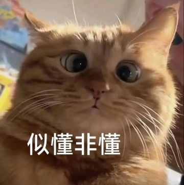 目前能让你坚持玩下去的动力是什么？