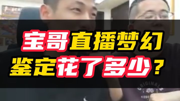 宝哥梦幻鉴定花了多少钱?能回本吗?截图
