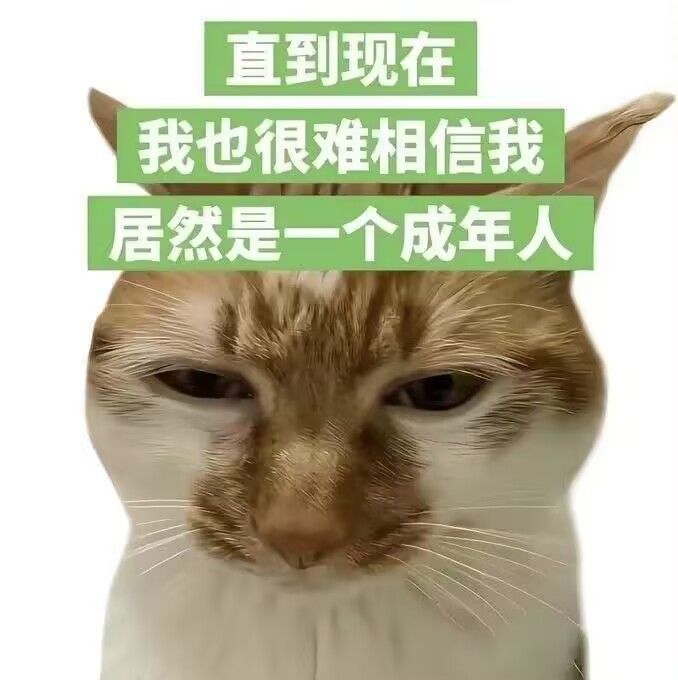 单排97局到王者11星 3