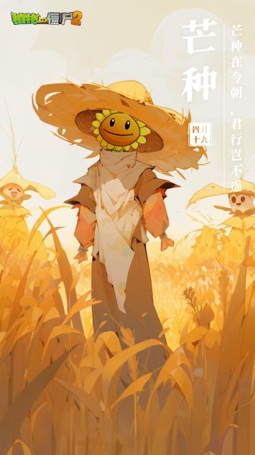 【玉米卷的知识库】芒种