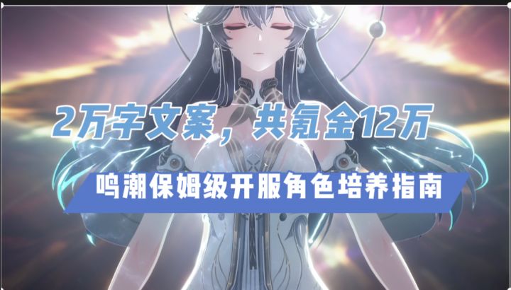 鸣潮开服角色培养指南,共计2万7千字文案,氪金12万总结视频截图