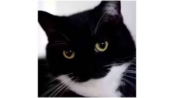 轨道传球限步版第二章1-10