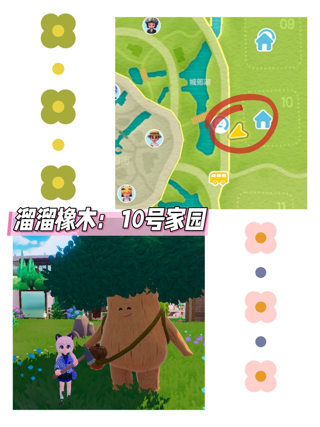 心动小镇日报(11.23)溜溜橡木+无暇萤石 3