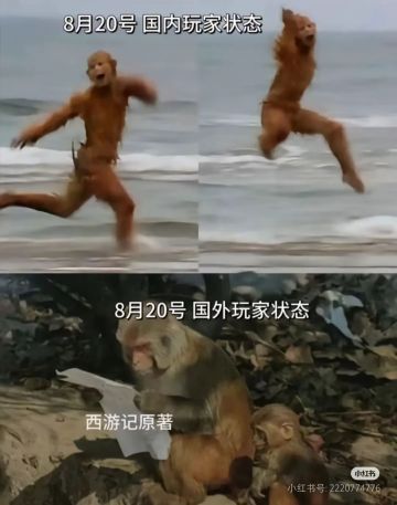 黑神话还是做的太有东西了