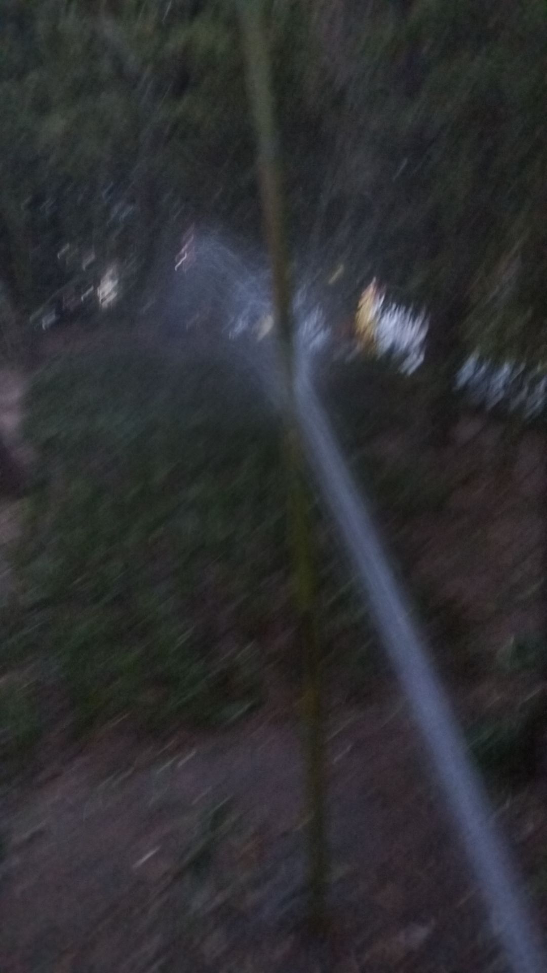 动态图片 10