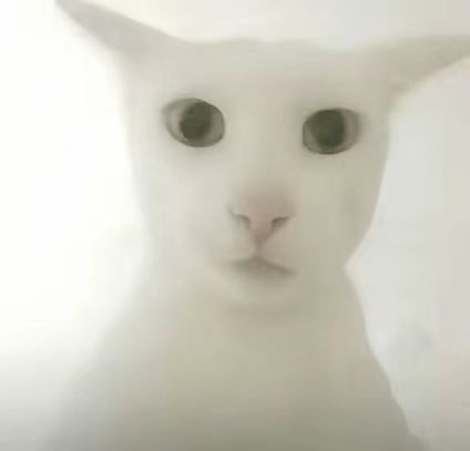 幽影谷组队 1