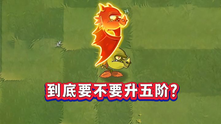 双人最强前排！火龙草究竟强在哪？截图