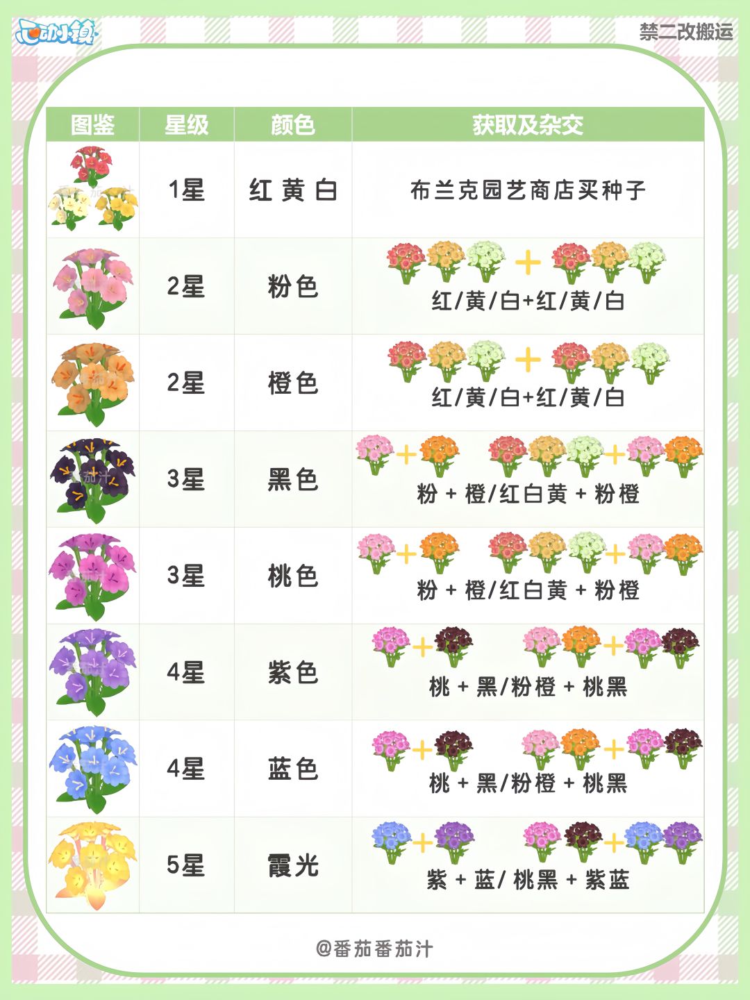 陇上金颂 限定露薇花 杂交攻略图鉴 2