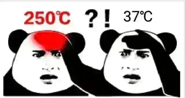答辩 1