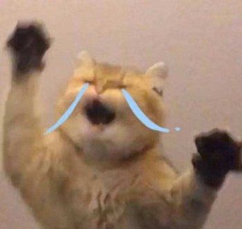 肉肉周报2.0——碎碎念第26期·我要控诉！