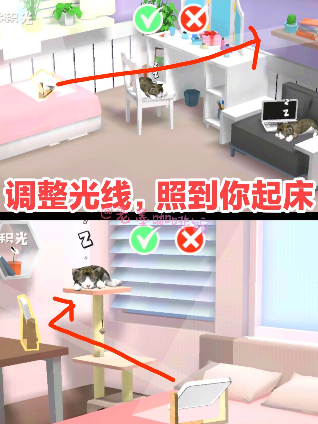 【聚光灯💡安利】😼叫醒贪睡小猫咪💔镜子反射 3