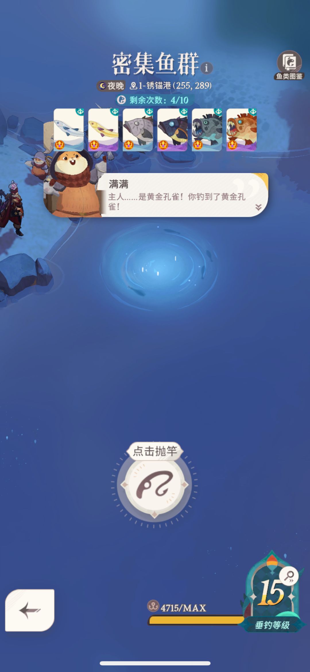 终于钓到了 绣锚港鱼王 黄金孔雀 2
