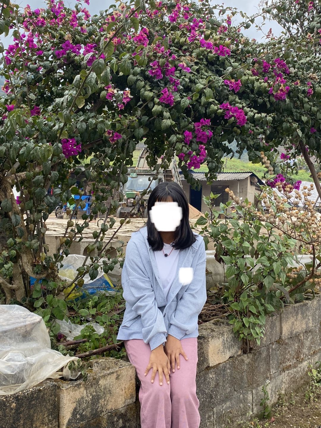 动态图片 5