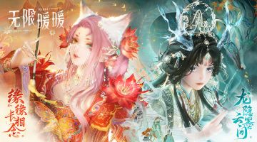 猫龙二选一（条分缕析版）