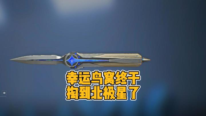 三角洲宝藏月幸运鸟窝直接掏到了北极星刀皮!截图