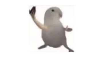 不动用主线唯一道具散人通关保姆版教程筑基篇