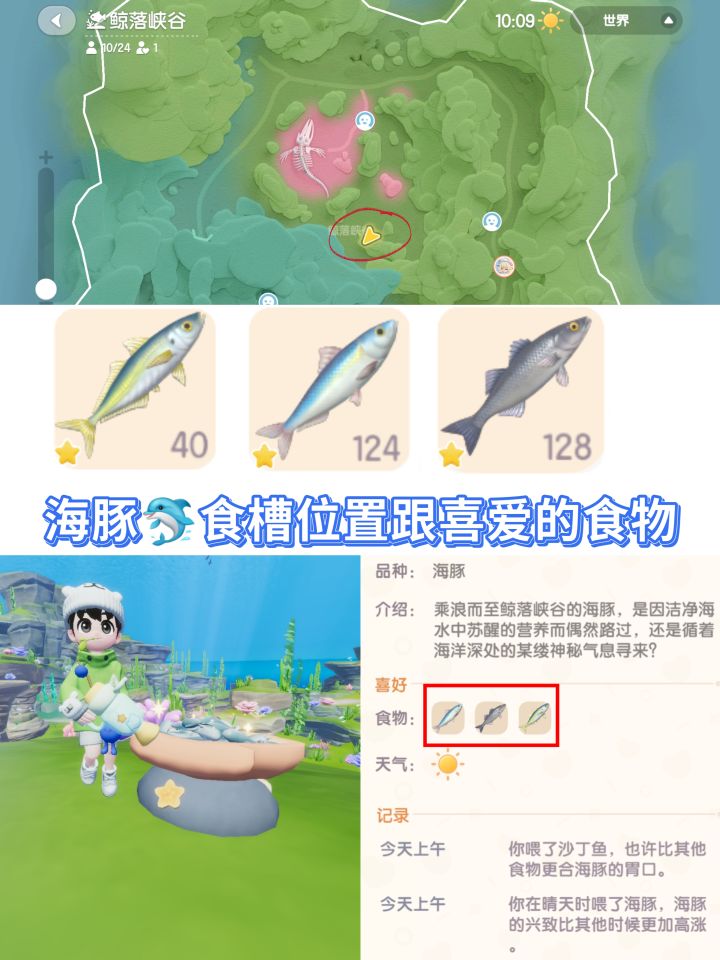 心动小镇海豚喂食点位跟喜欢的食物攻略截图