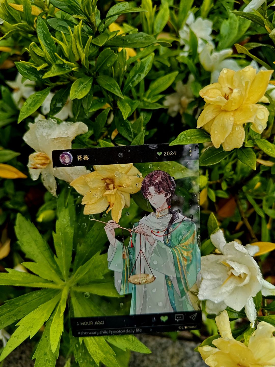 花与枯叶之间 2