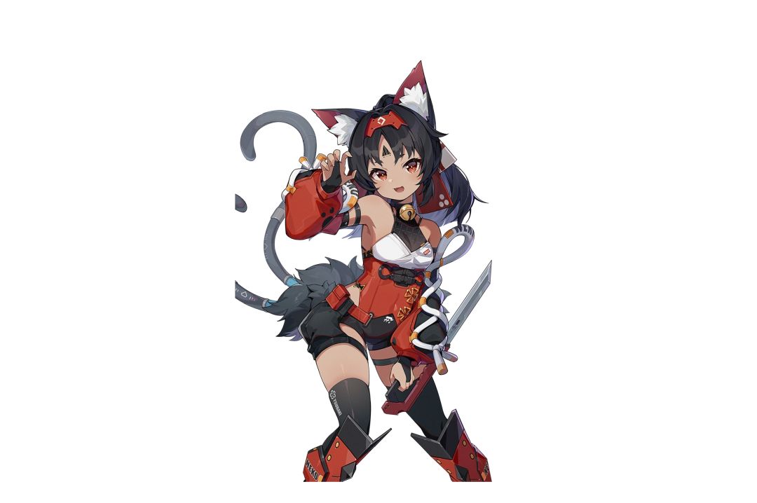 猫又真的那么差吗 3
