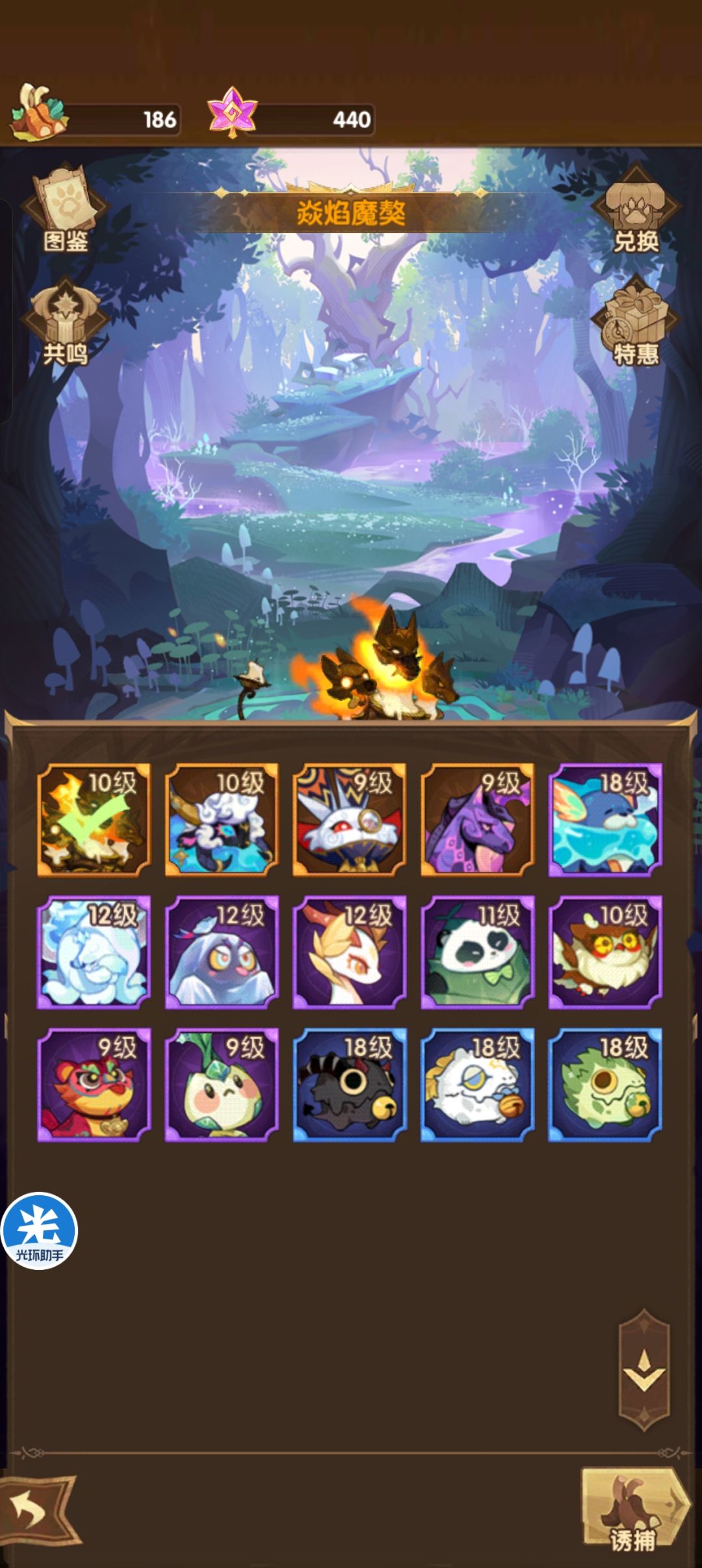 231天50章纪念 4