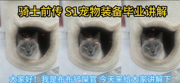 【S1攻略】宠物装备毕业讲解（可延续多个赛季）------进阶版