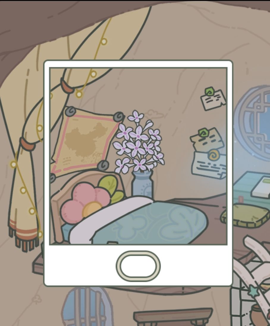 花瓶里的花品种越来越丰富~ 1