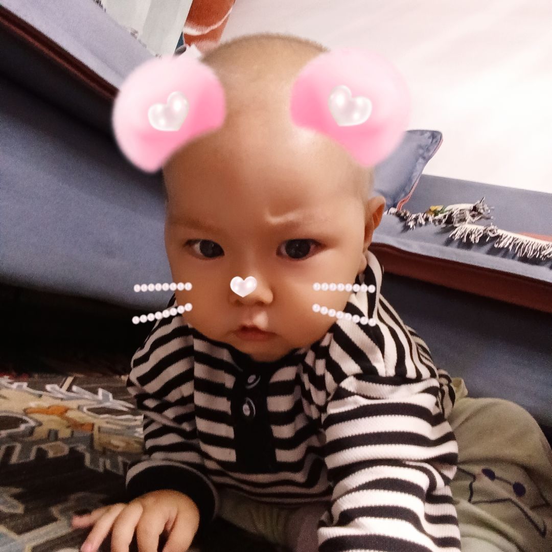 动态图片 3